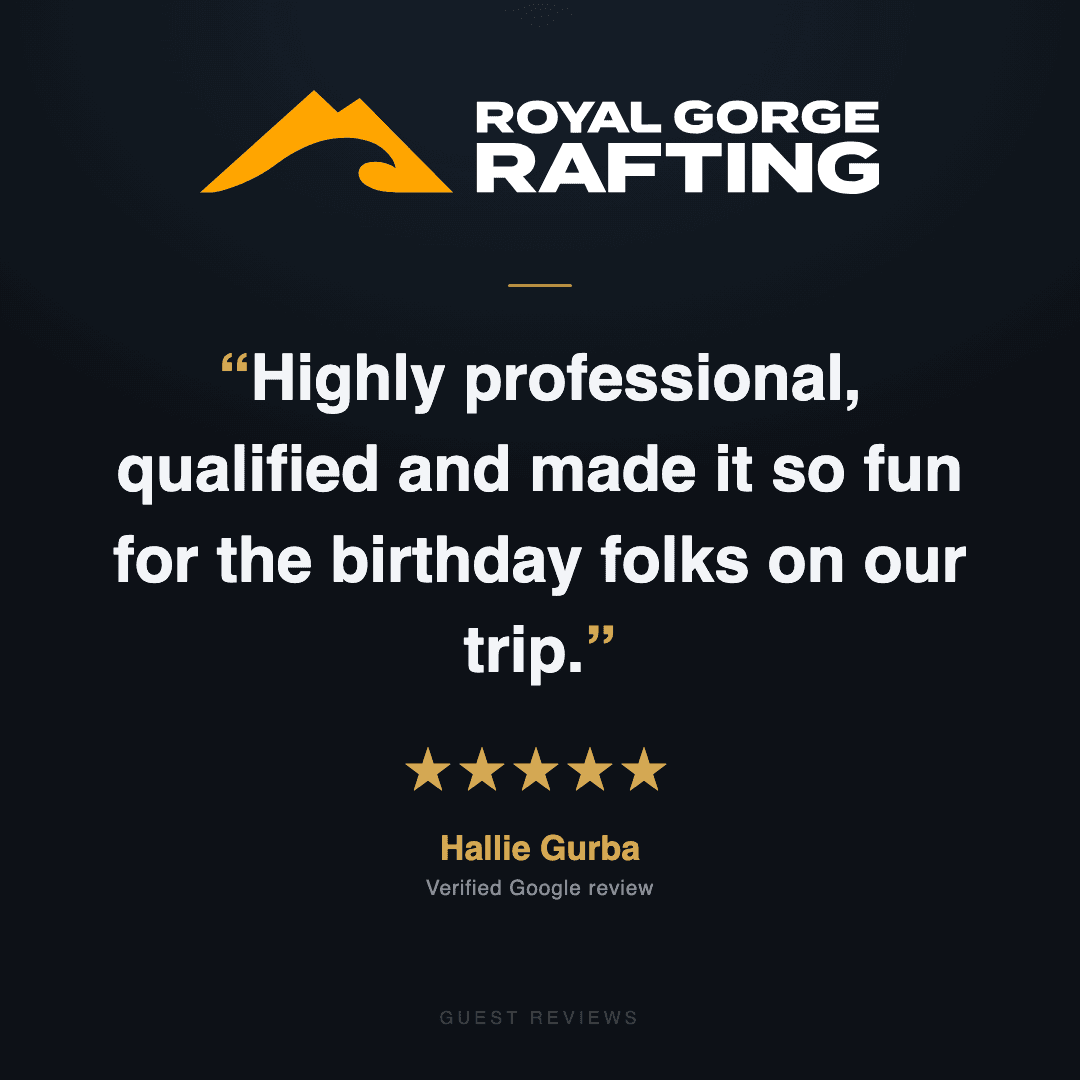 Guest review 4