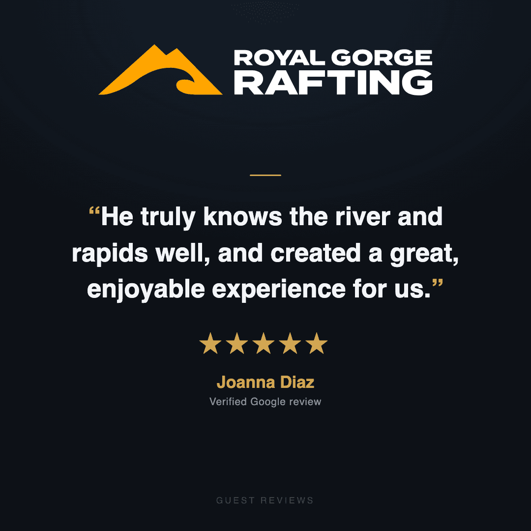 Guest review 5