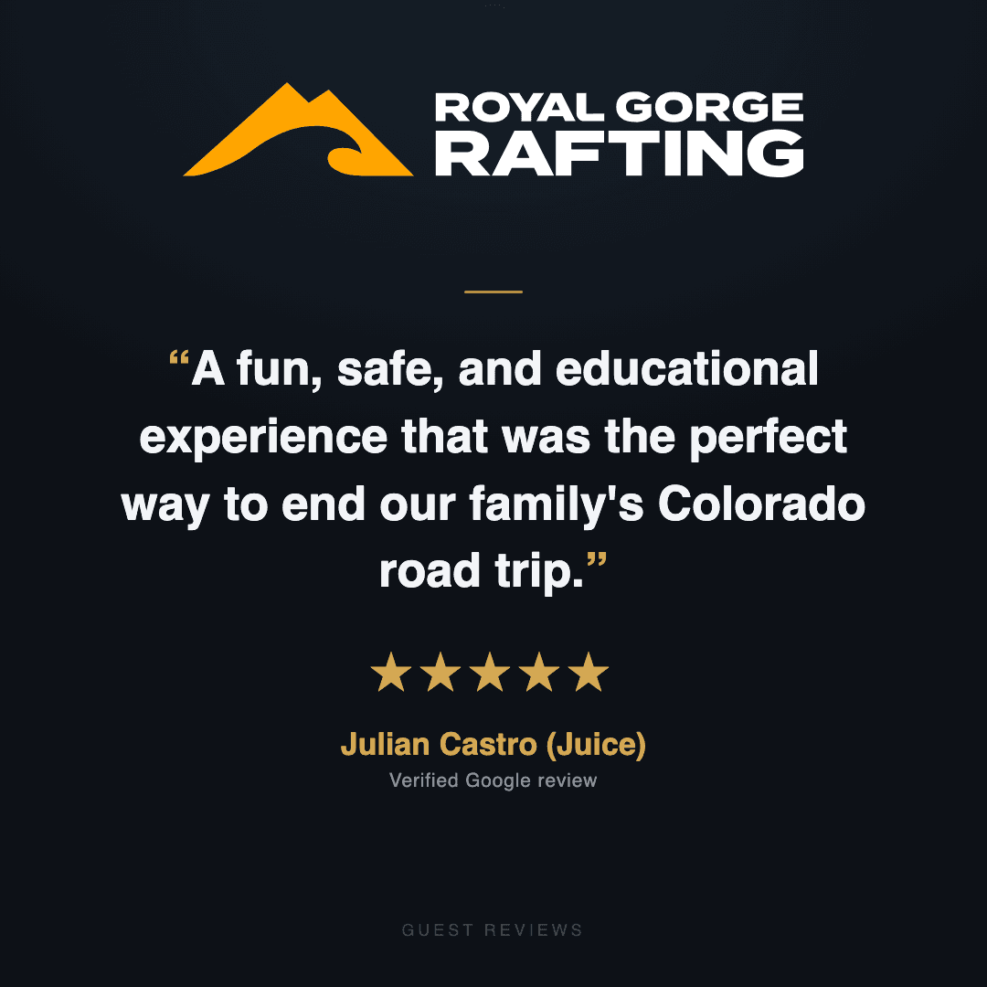 Guest review 6