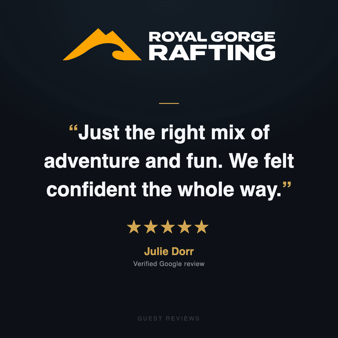 Guest review 7