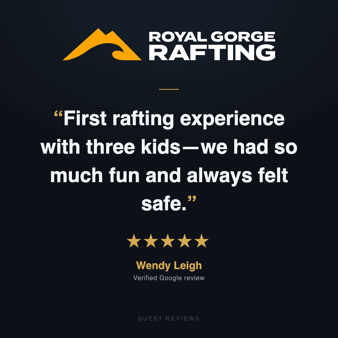 Guest review 10