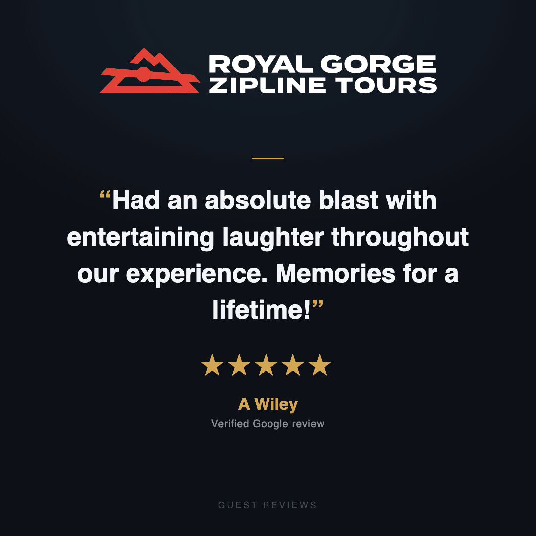 Guest review 1