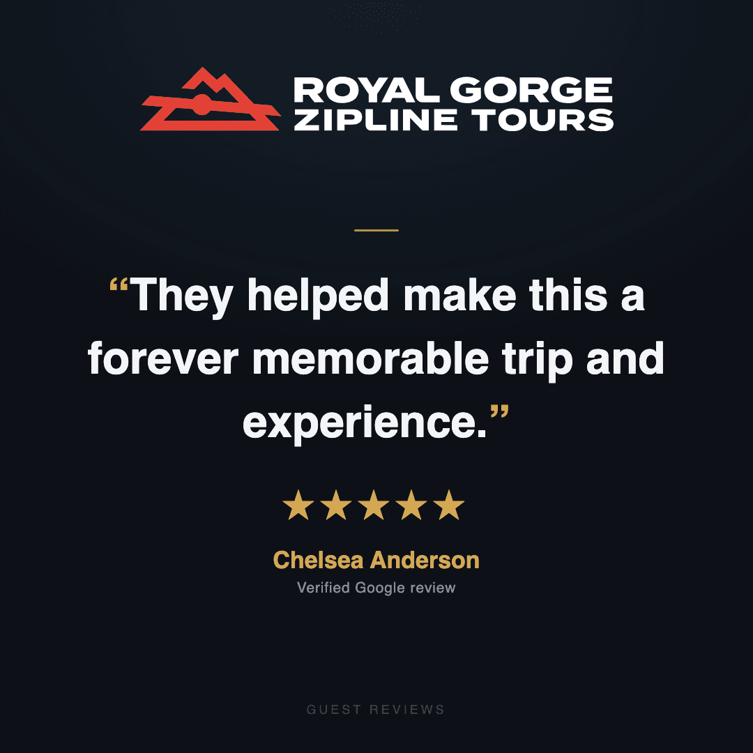 Guest review 2
