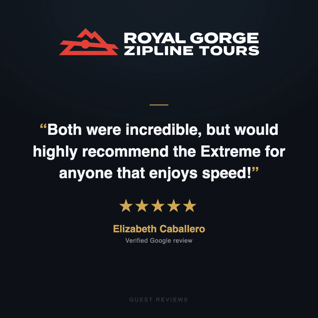Guest review 3