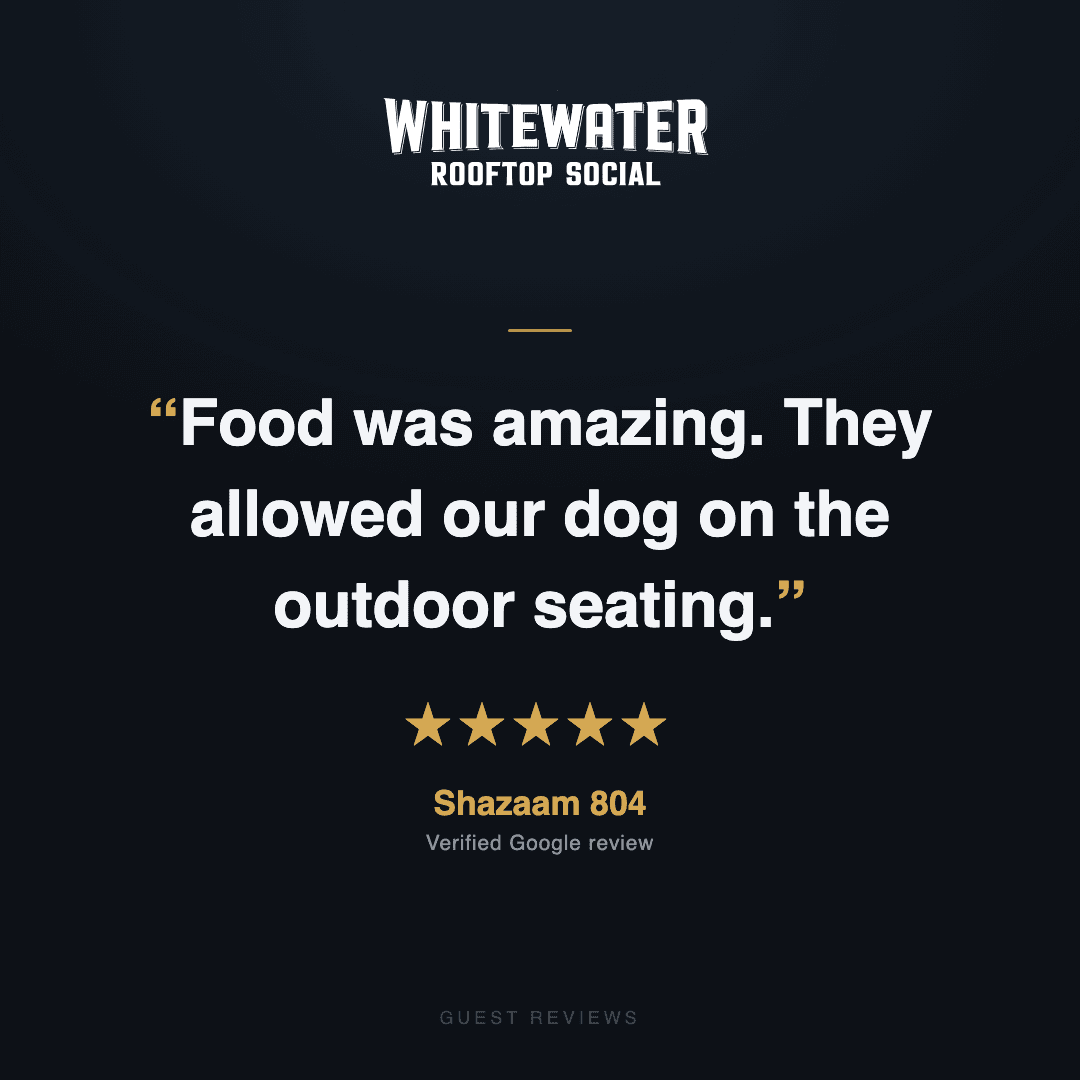 Guest review 13